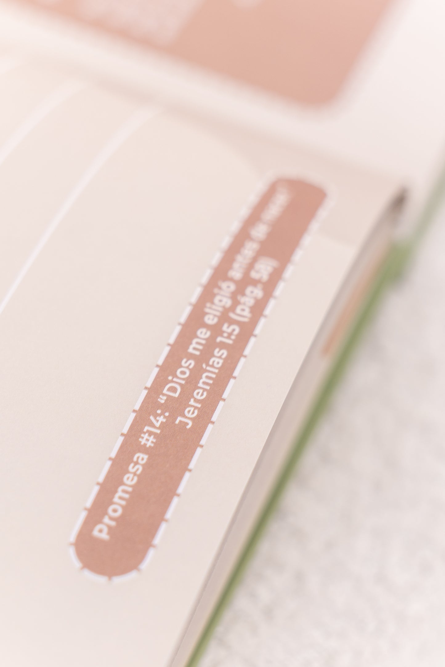 Álbum Aquí comienza tu historia